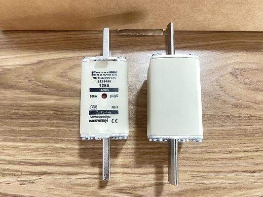 NH1GG69V125P IGBT 125A/1200V Puissance Faibles Pertes Haute Efficacité Robustesse 175°C Isolation Complète Construction Compacte pour Onduleurs Industriels et VE