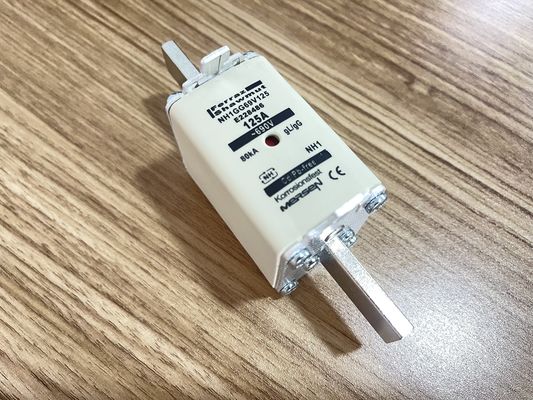 NH1GG69V125P IGBT 125A/1200V Puissance Faibles Pertes Haute Efficacité Robustesse 175°C Isolation Complète Construction Compacte pour Onduleurs Industriels et VE