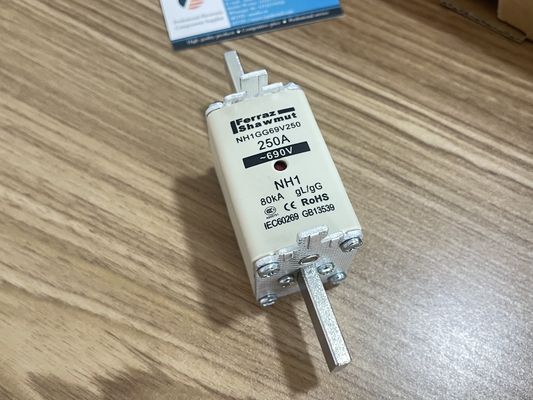 NH1GG69V250P IGBT Module 250A High Current 1200V Voltage Low Vce(sat) High Efficiency Robust Isolation 175°C Rating Compact Design for Industrial Drives & UPS Systems